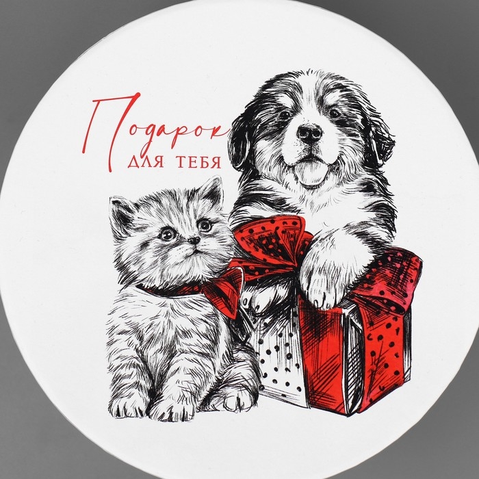 Коробка подарочная круглая «Подарок для тебя», 14 х 16 см, Новый год Коробка подарочная круглая «Подарок для тебя», 14 х 16 см, Новый год