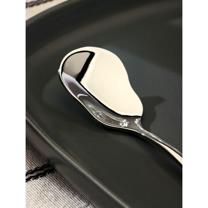 Ложка для мороженого из нержавеющей стали Magistro, длина 13 см, цвет серебряный Ложка для мороженого из нержавеющей стали Magistro, длина 13 см, цвет серебряный