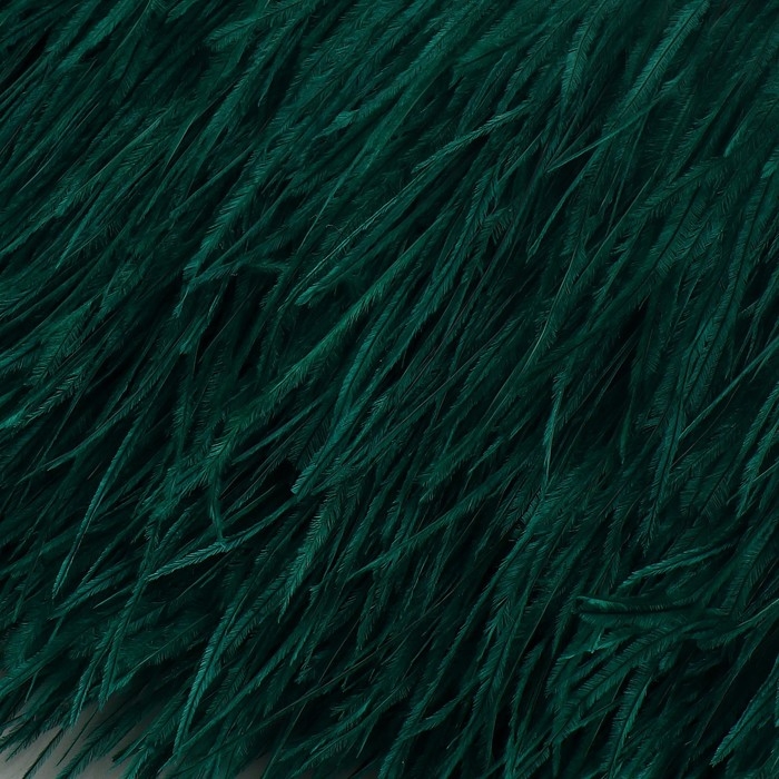 Тесьма с перьями страуса, 8-10 см, 5 ± 0,5 м, цвет изумрудный Тесьма с перьями страуса, 8-10 см, 5 ± 0,5 м, цвет изумрудный