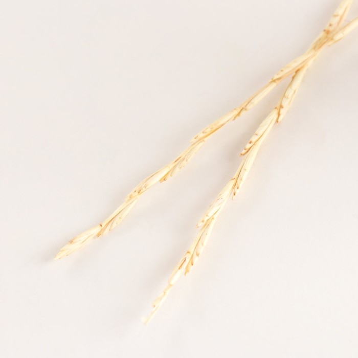 Набор сухоцветов Набор сухоцветов "Райграс", банч 10 шт, длина 25 (+/- 6 см), выбеленный