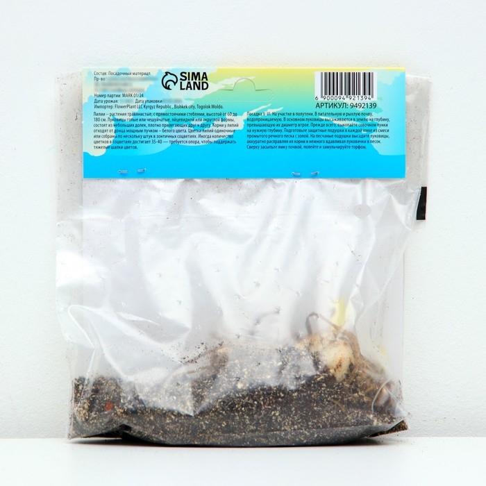 Лилия Азиатская Кашпо Лилия Азиатская Кашпо "Trendy Las Palmas", р-р 12/14, 2 шт,