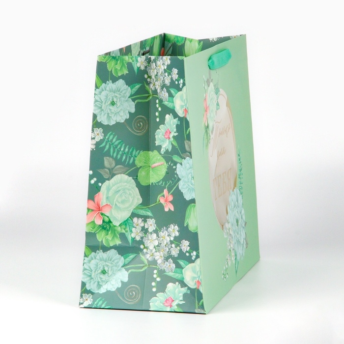 Пакет подарочный ламинированный с пластиковым окном, упаковка, «Тебе», 32,5 х 26,5 х 13,5 см Пакет подарочный ламинированный с пластиковым окном, упаковка, «Тебе», 32,5 х 26,5 х 13,5 см