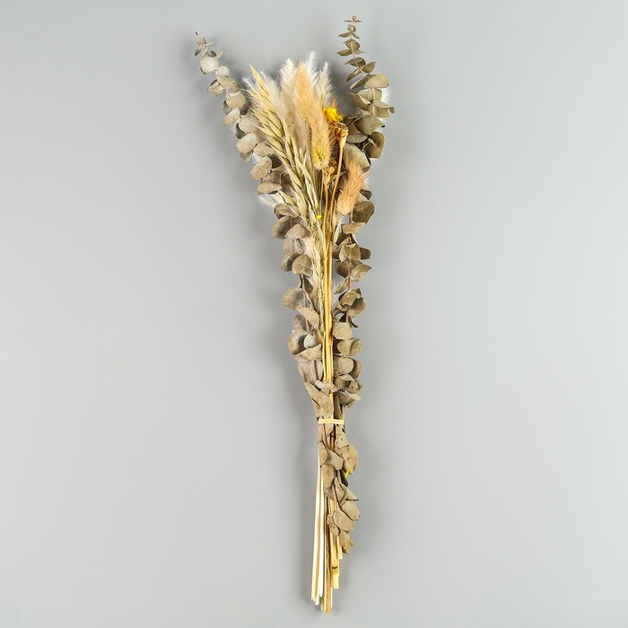 Сухоцветы &laquo;Изумление&raquo;, набор из 5 видов, 48 &times; 16 &times; 6 см