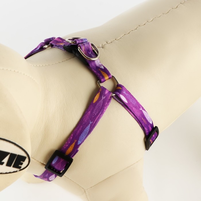 Комплект «Рыбки», шлейка 24-36 см, поводок 120х1 см