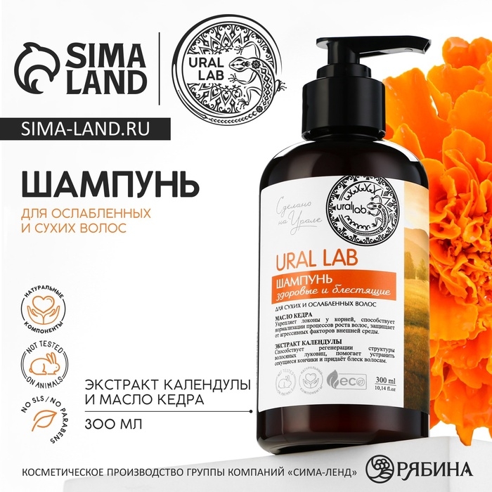 Шампунь для сухих и ослабленных волос с маслом кедра и экстрактом календулы, здоровые и блестящие, 300 мл, ECO LAB by URAL LAB