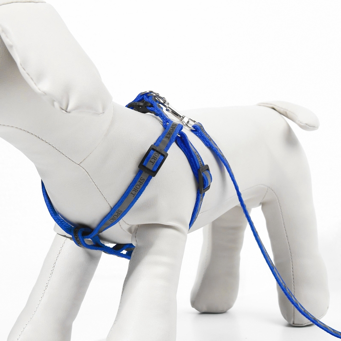 Комплект "Спорт" светоотражающий, поводок 120 х 1 см, ОГ 23-35 см, синий