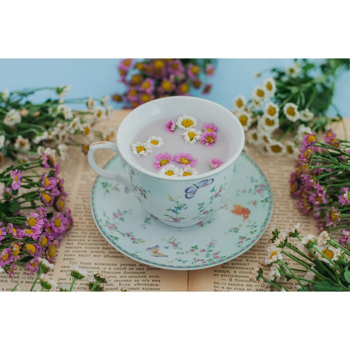 Чайная пара керамическая Доляна «Пелагея», 2 предмета: чашка 220 мл, блюдце d=14 см Чайная пара керамическая Доляна «Пелагея», 2 предмета: чашка 220 мл, блюдце d=14 см