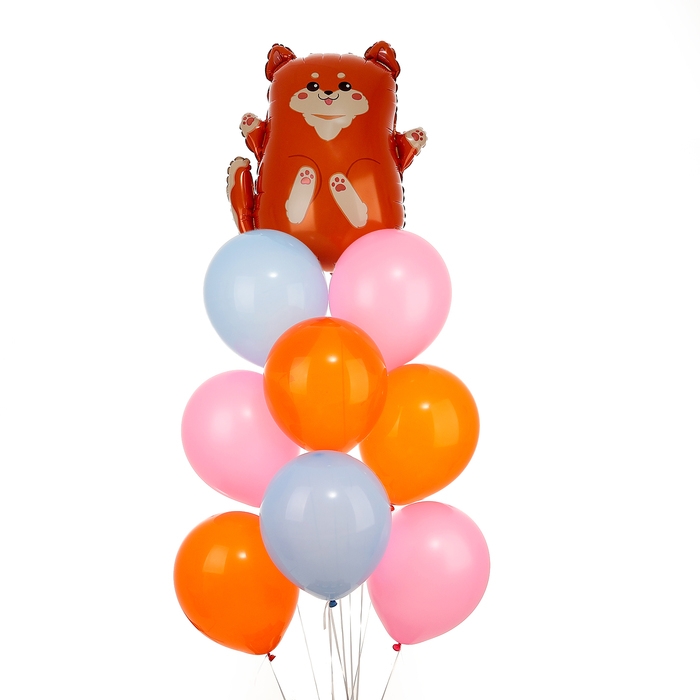 Набор воздушных шаров  Набор воздушных шаров "Сиба-ину", фольга, латекс, 9 шт.