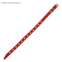 Ошейник кожаный на синтепоне, безразмерный, 37 х 1,5 см, ОШ 21-31 см, красный