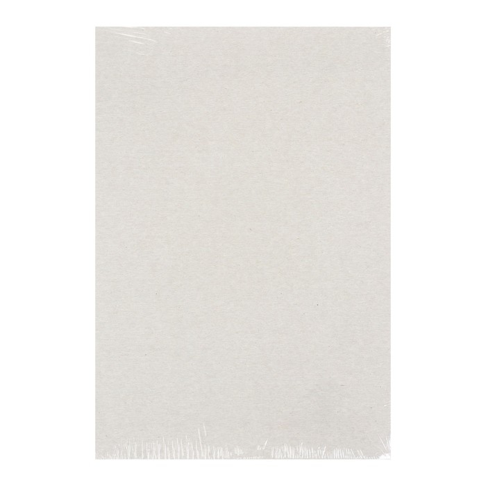 Картон белый А4 Calligrata, 40 листов, 240 г/м2, мелованный, односторонний Картон белый А4 Calligrata, 40 листов, 240 г/м2, мелованный, односторонний