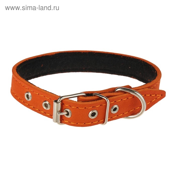 Ошейник кожаный на синтепоне, 45 х 2 см, ОШ 25-35 см, оранжевый Ошейник кожаный на синтепоне, 45 х 2 см, ОШ 25-35 см, оранжевый