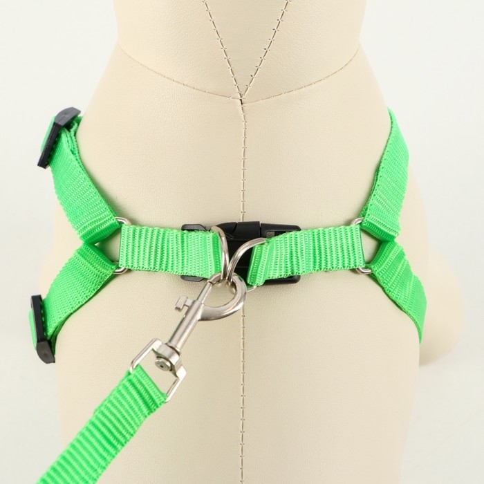 Комплект  Комплект "Базис", поводок 120 х 1,5 см, шлейка 32-46 х 1,5 см, зелёный