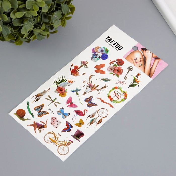 Татуировка на тело цветная  Татуировка на тело цветная "Мелочи" 10х20,5 см