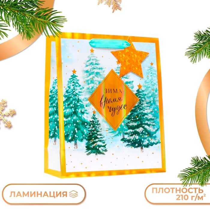 Новый год. Пакет подарочный "Зима - время чудес", 26 х 32 х 12 см.
