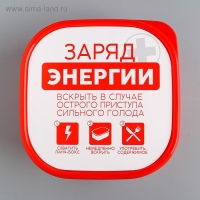 Ланч-бокс «Заряд энергии», 700 мл