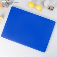 Доска профессиональная разделочная Доляна, 60×40 см, цвет синий