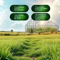 Органическое удобрение для овощных культур Greenlife, 500 мл