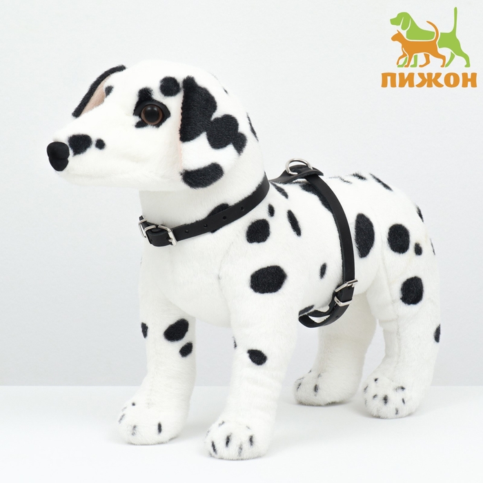 Шлейка кожаная однослойная Шлейка кожаная однослойная "Люкс", ОШ 26-34 см, ОГ 36-44 см, ширина 1,1 см, чёрная