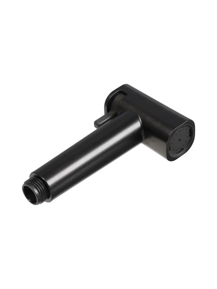 Гигиеническая лейка Accoona AF30501ST