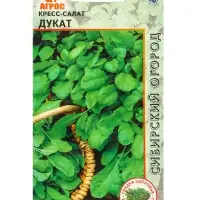 Семена Кресс-салат "Дукат" 1 г Семена Кресс-салат "Дукат" 1 г