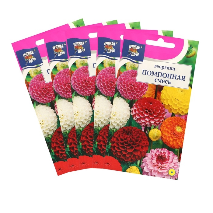 Семена цветов Цв Георгина Смесь Семена цветов Цв Георгина Смесь "Помпонная",набор 5 шт