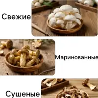Мицелий грибов Белый гриб &laquo;Берёзовый&raquo;, 60 мл, &laquo;Престиж семена&raquo;