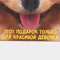 Пакет подарочный, упаковка, &laquo;Подарочек&raquo;, 22&times;22&times;11 см
