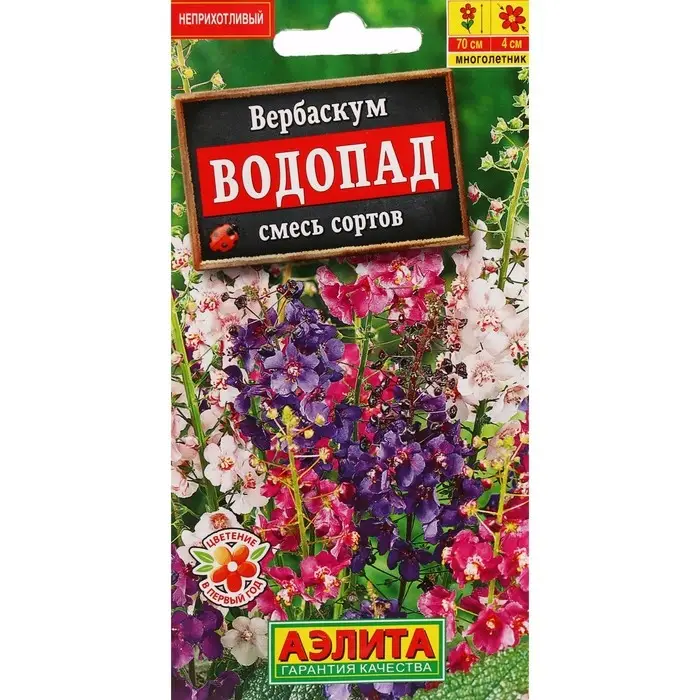 Семена цветов Вербаскум  Семена цветов Вербаскум "Водопад", 0,1 г