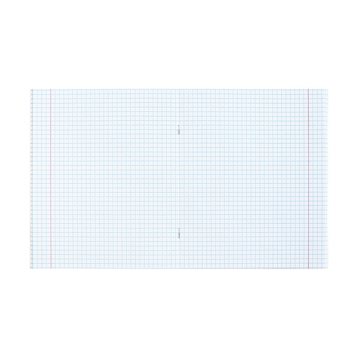 Тетрадь 48л кл Тетрадь 48л кл "Красота Востока", обл мел карт+глаянцевая лам. МИКС