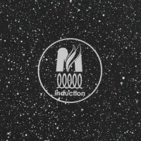 Сковорода Мечта &laquo;Гранит Black&raquo; Induction Pro, d=26 см, h=6 см, пластиковая ручка, антипригарное покрытие, индукция, литой алюминий, чёрная