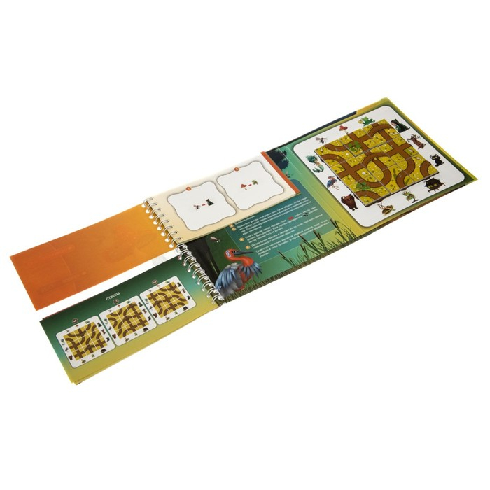 Игра магнитная головоломка «Десятое королевство. Загадки болота» Игра магнитная головоломка «Десятое королевство. Загадки болота»