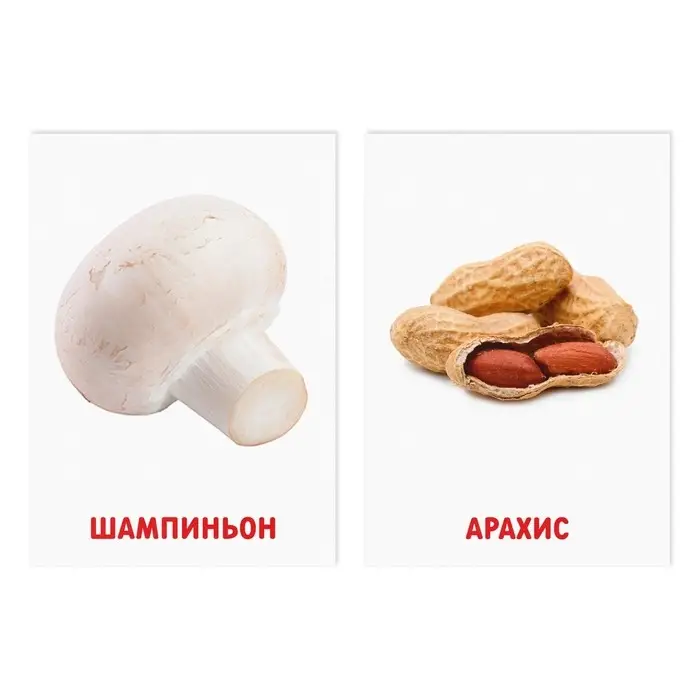 Обучающие карточки по методике Глена Домана «Грибы и орехи», 8 карт, 3+ Обучающие карточки по методике Глена Домана «Грибы и орехи», 8 карт, 3+