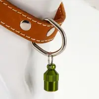 Адресник-капсула под записку &laquo;Бочонок&raquo;, 1.1&times;2.3 см, металл, зелёный