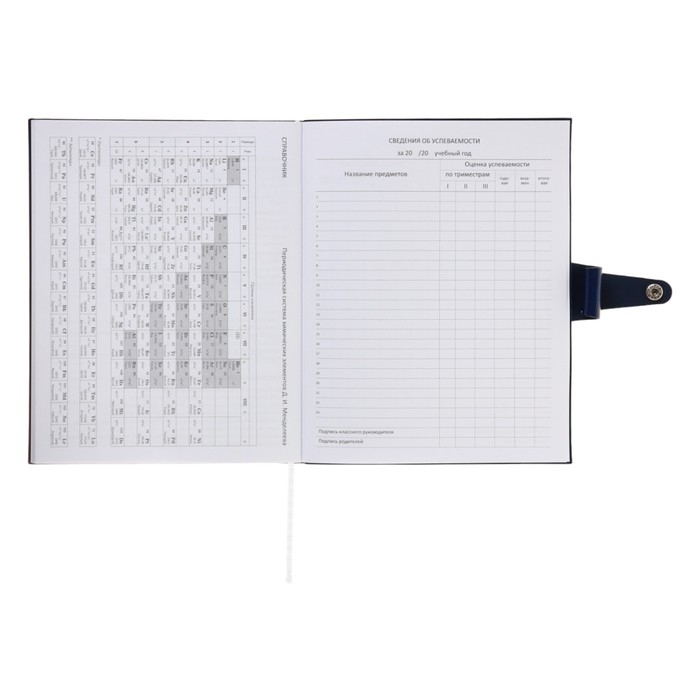 Дневник универсальный для 1-11 класса Favorite, мягкая обложка, на кнопке, искусственная кожа, тиснение фольгой, хлястик, ляссе, 48 листов