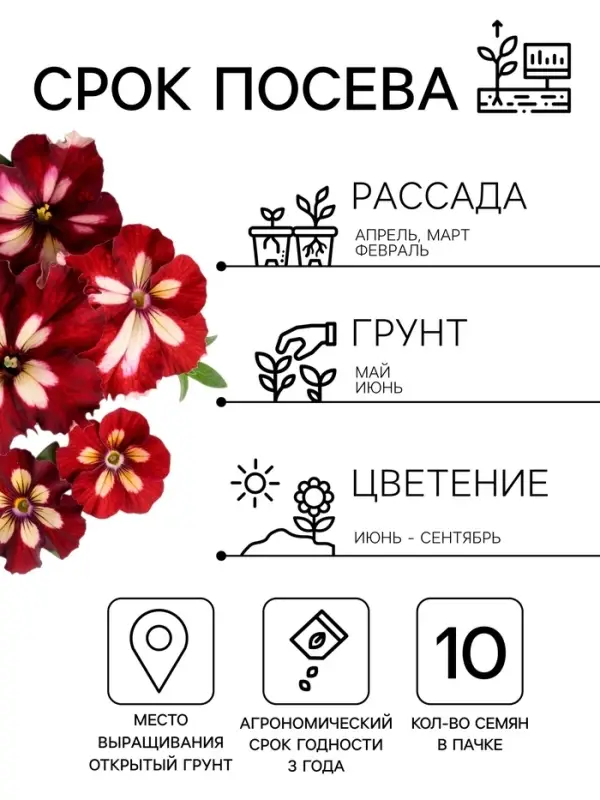 Семена цветов Петуния грандифлора &laquo;Кан кан бургунди&raquo; 10 шт.