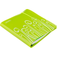 Бизнес-тетрадь А5,120 л,пласт обл,на рез,с разд, ATTACHE FANTASY,салат