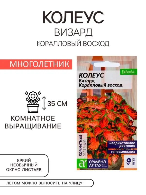 Семена комнатных цветов Колеус &laquo;Коралловый Восход&raquo;, 5 шт., &laquo;Семена Алтая&raquo;