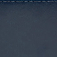 Ежедневник недатированный А5+, 145х205,Sidney Nebraska,син,з.уг 3-128/14