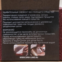 Губки для посуды Raccoon «Чудо-губка», 2 шт, чистящие,10,5×7×5 см