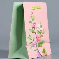 Пакет подарочный "Нежный комплимент" ламинированый 11,5 х 14,5 х 6,5 см