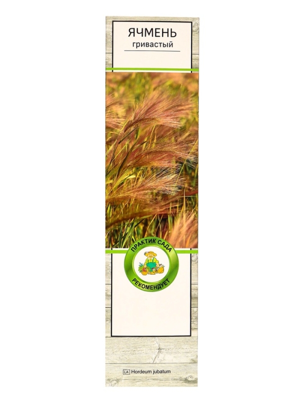 Ячмень гривастый, туба, 1 шт, Весна 2025 Ячмень гривастый, туба, 1 шт, Весна 2025