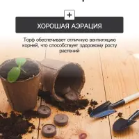 Набор для рассады: торфяной горшок 6×6 см, кассета на 6 ячеек, 17.5×13.5 см, Greengo