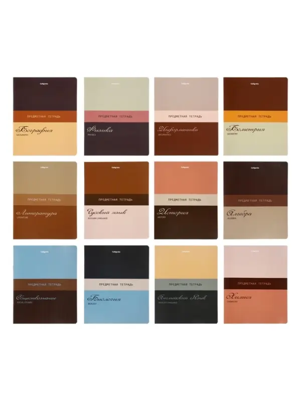 Комплект 12 предметных тетрадей 48 листов, справочная информация, 60гр, Стиль 2026