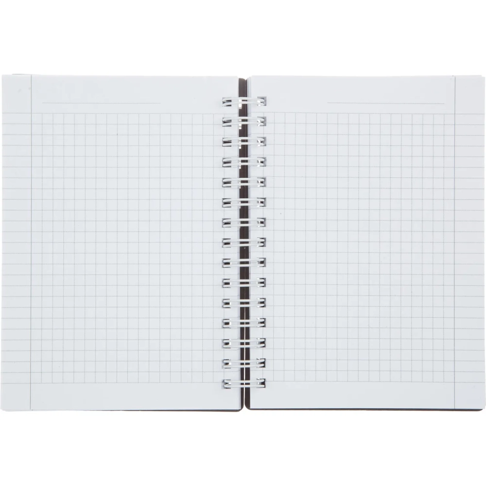 Блокнот BS, 102х142мм, 120л., клетка,  спираль. Botanica, эвкалипт, N4261