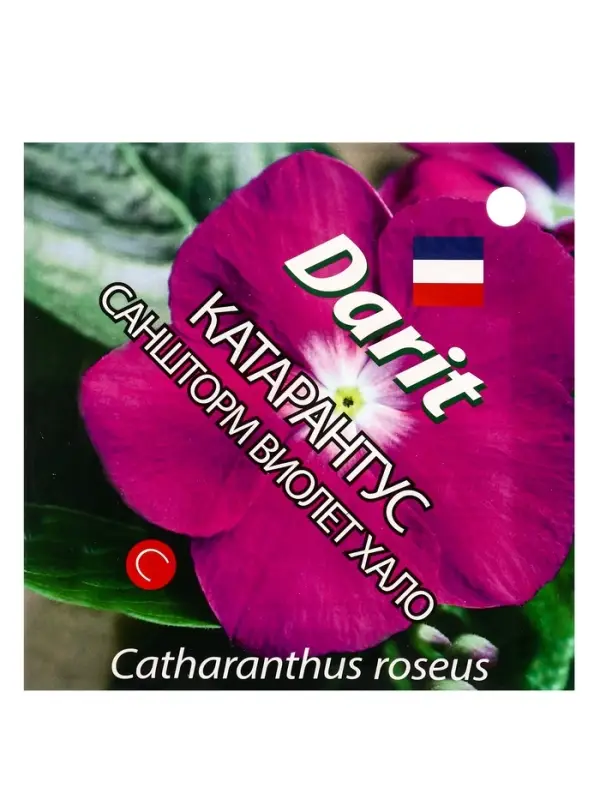 Семена цветов Катарантус Саншторм "Виолет Хало", О, 10 шт