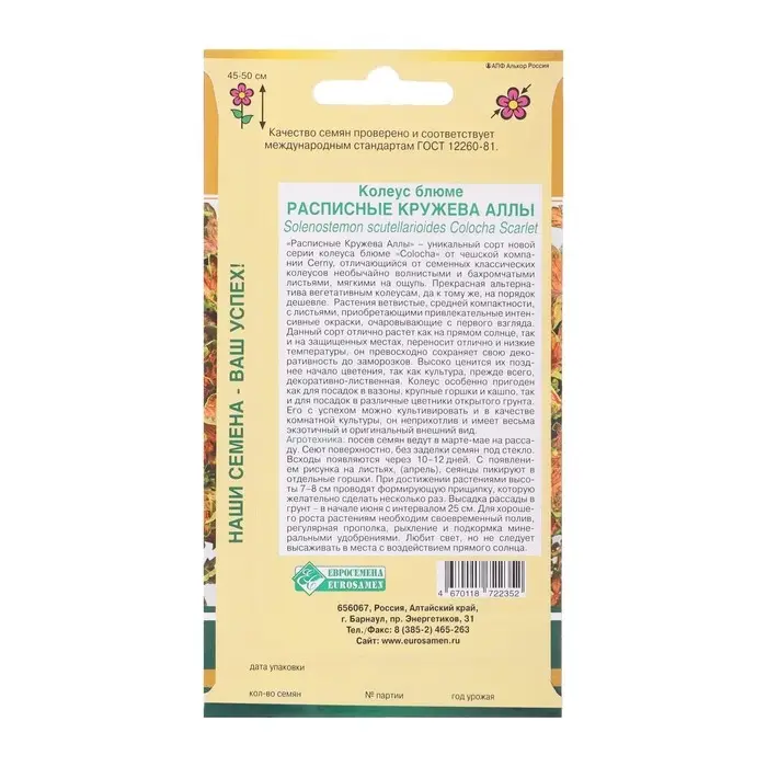 Семена Колеус блюме   Семена Колеус блюме  "Кружева Аллы",  10 шт