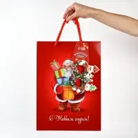 Пакет подарочный «Новогодняя сказка», с очками, 31 × 11 × 40 см Пакет подарочный «Новогодняя сказка», с очками, 31 × 11 × 40 см