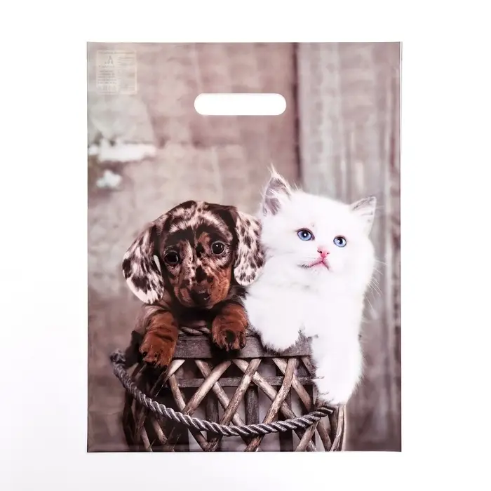 Пакет Пакет "Пушистая парочка", полиэтиленовый с вырубной ручкой 31х40 см, 60 мкм