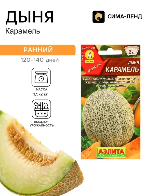 Семена Дыня &laquo;Карамель&raquo;, 1 г, &laquo;Аэлита&raquo;