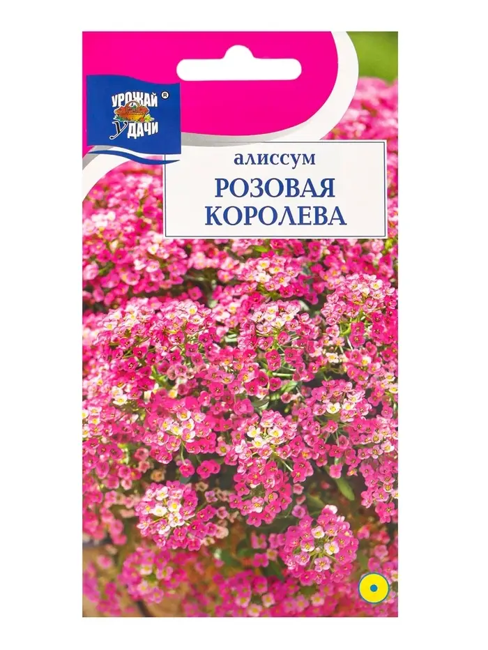 Семена цветов Алиссум "Розовая королева",  0,1 г